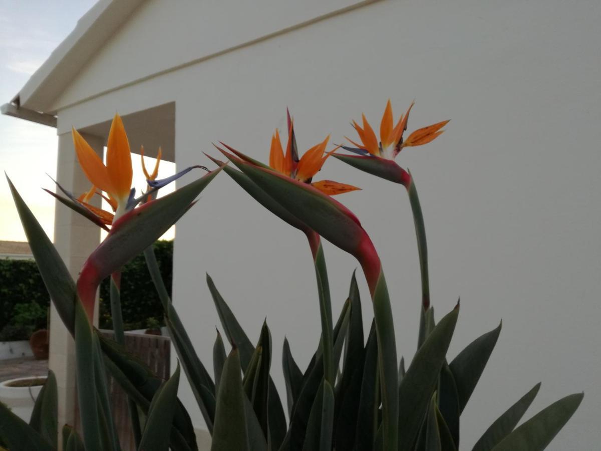Casa Toscano Lagos Eksteriør billede